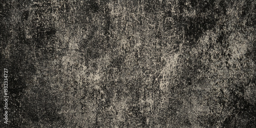 A heavily textured monochromatic image portrays a weathered surface with a rough organic pattern and subtle tonal variations