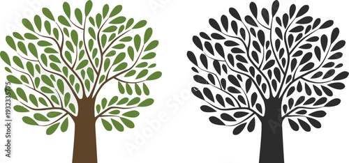 Adobe Illustrator Artwork