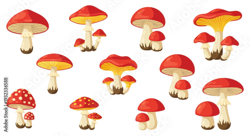 Collection of Red Cap Mushrooms on White Background