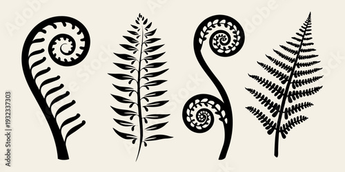 Silhouettes of fern fronds in varying stages of unfurling and maturity