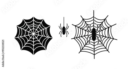 Black and white illustration of spiderwebs and a spider