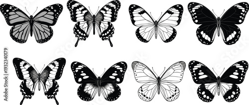 Black and white butterfly illustrations with diverse wing patterns, symmetrical shapes, and detailed designs for entomology, biodiversity, and artwork