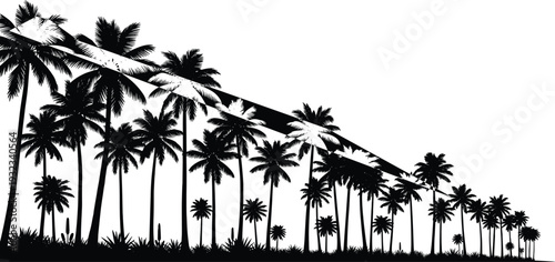 Black and white silhouette of palm trees in a horizontal row with a creative diagonal slash graphic for tropical designs