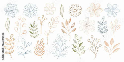 Delicate floral and botanical illustrations in pastel and muted tones