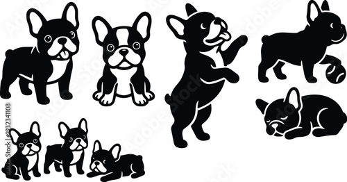 Flat design collection of black and white french bulldog vector poses with standing sitting sleeping playful paw raised ball side profile front facing close up silhouette