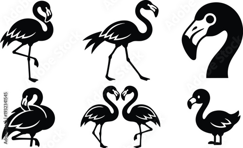 Minimalist vector art flamingo icon set showing six black silhouette poses including standing walking preening resting close up head profile and pair facing each other together