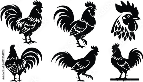 Vintage black rooster silhouettes set showing six poses and close up head profile standing crowing tail feathers ornamental farm icons in flat vector style mockup illustration