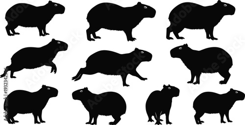 Silhouette illustration of capybaras in multiple poses and stances, showing walking, sitting, standing, and movement, ideal for wildlife, nature, animal, and rodent themes