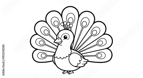Peacock Vector for Coloring Book