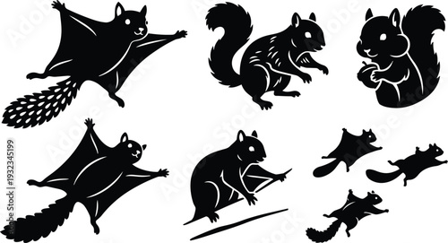 Minimalist black silhouette flying squirrel and squirrel icon set showing gliding pose close up side view sitting chewing nut and running motion in vector art collection