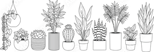 Set of ten minimalist hand drawn indoor potted plants line art vector illustrations including succulents cacti palms and trailing vines
