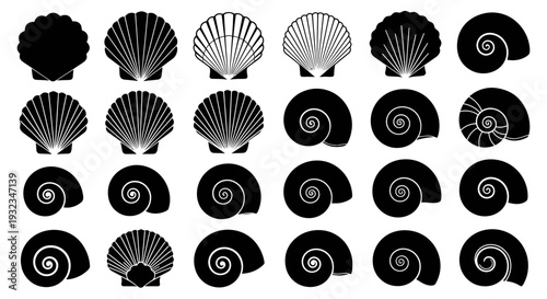 Collection of Black Silhouette Scallop and Nautilus Shells