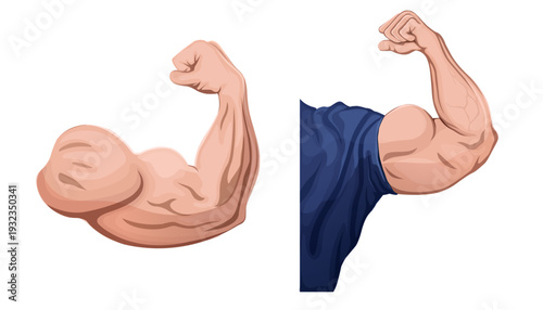 strong bodybuilder arms close up vector design.fitness and gym concept clip art.isolated on the transparent background.