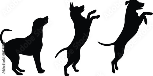 Happy dogs silhouettes collection set, domestic canine pets in jumping and standing active play poses