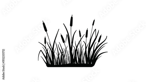 Silhouette of reeds and cattails aquatic plants