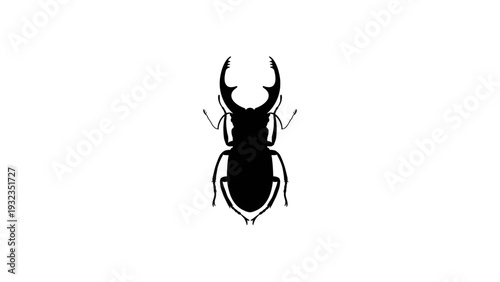 Stag beetle insect silhouette isolated on white
