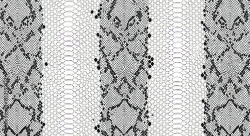 Abstract Snake Skin Pattern, Reptile Texture, Gray and White, Seamless Background