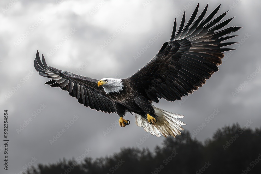 Fototapeta premium Majestic bald eagle soaring with outstretched wings over dark forest under dramatic cloudy sky conveying power and freedom