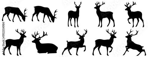 Set of Deer and Stag Silhouettes in Various Poses