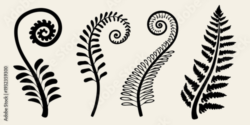 Black silhouettes of fern fronds in varying stages of unfurling
