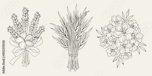 Botanical illustration featuring wheat grasses and delicate floral arrangements