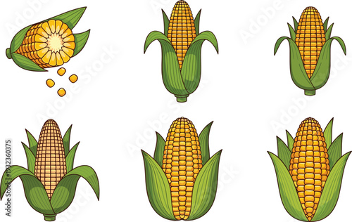 Vector Illustration of Corn on the Cob with Husk for Agricultural, Food, and Healthy Eating Designs