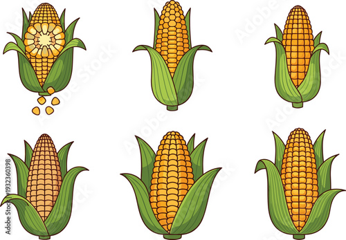 Vector Illustration of Corn on the Cob with Husk for Agricultural, Food, and Healthy Eating Designs