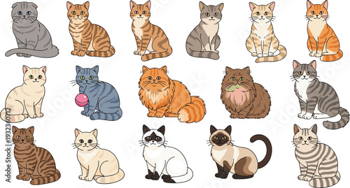 Comprehensive vector set of various cat breeds in flat illustration style featuring tabby, persian, siamese, scottish fold, and calico kittens isolated on white.