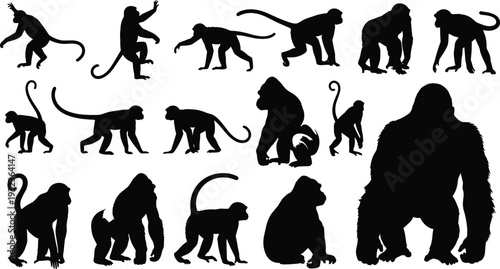 Collection of diverse primate silhouettes including monkeys and gorillas in varied poses, isolated on white background, ideal for zoology, biology, illustration, and artistic design