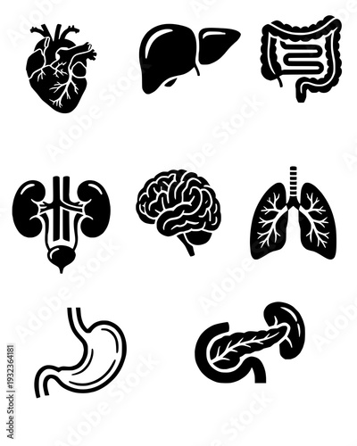 Minimalist Human Internal Organs Vector Icon Set (Flat Black & White)