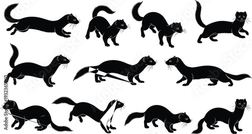 Silhouette illustrations of weasel-like animal in dynamic poses, showing walking, running, crouching, leaping, standing, and anatomical studies for 