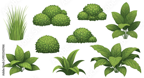 Collection of various green bushes, grass, and leafy plants in different shapes and sizes for garden landscaping or nature scenes.