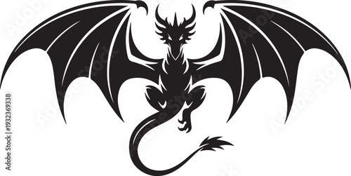 Black Dragon Front View