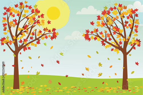 Autumn Trees Falling Leaves Sunny Day Outdoors