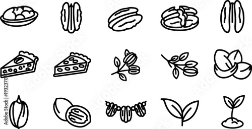 National Pecan Day icon set with pie slices, nuts, and sprouts