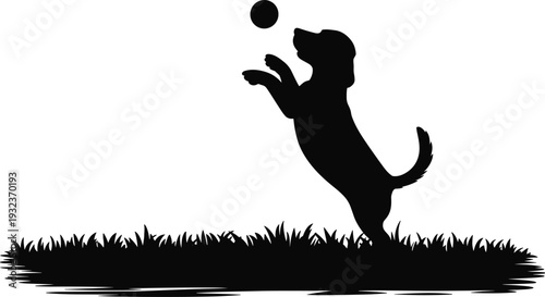Happy dog playing with ball silhouette, domestic pet jumping on grass, active canine outdoor exercise and fun moments
