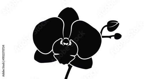 A striking black silhouette of an orchid flower with a single stem and bud