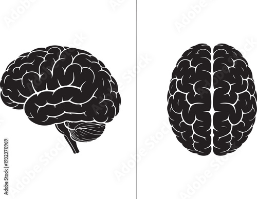 Brain icons. side and top view. mind, intelligence, psychology and neurology symbol