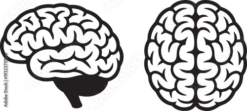 Brain icons. side and top view. mind, intelligence, psychology and neurology symbol