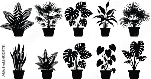 Black silhouette vector illustration of ten potted houseplants in diverse leaf shapes, indoor plant artwork for botanical, decorative, and design projects