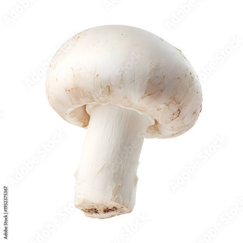 Professional Fresh White Mushroom with Smooth Cap Image for Culinary Use