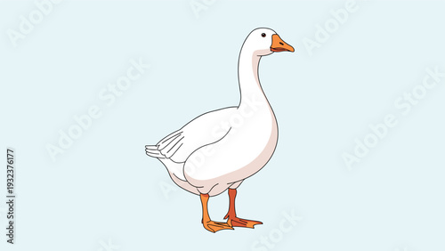 Full body side view of a large white goose with an orange beak and webbed feet standing on a light blue background.