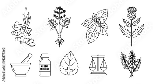 Set of 8 Black and White Herbal Medicine Icons Vector