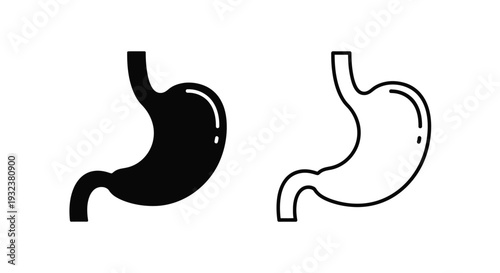 Stomach illustrations a filled and outlined depiction of the human digestive organ