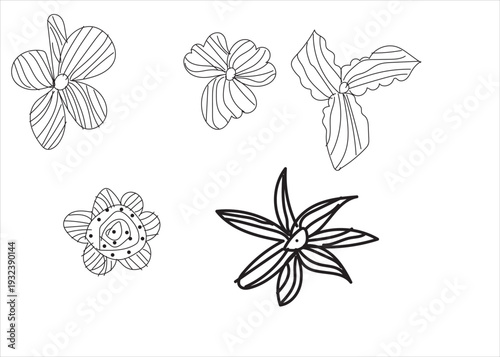 Trendy floral branch and minimalist flowers for logo or decorationsdesign.