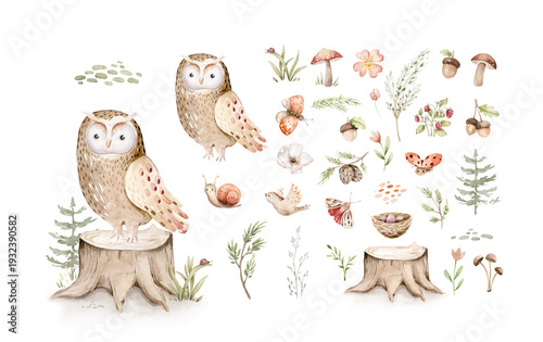 Watercolor cute baby owl animal. Woodland nursery isolated illustration for children. for children. watercolour stump and acorn forest drawing with floral elements. Butterfly and spruce b