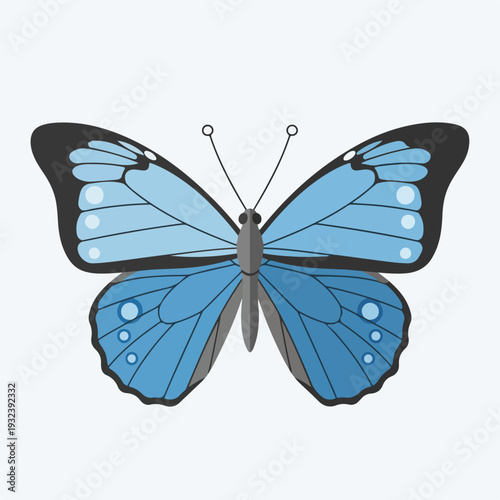 A symmetrical, flat design of a blue butterfly, isolated on white