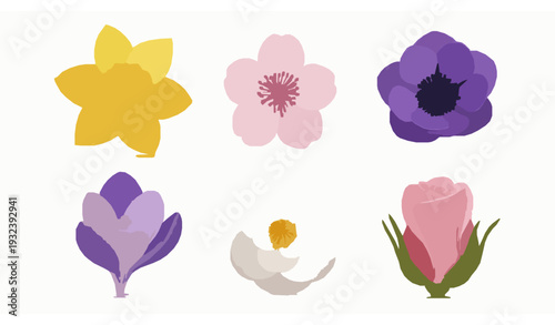 Premium 3D Spring Floral Icon Collection with Daffodil Cherry Blossom Anemone Magnolia and Ranunculus on White Background