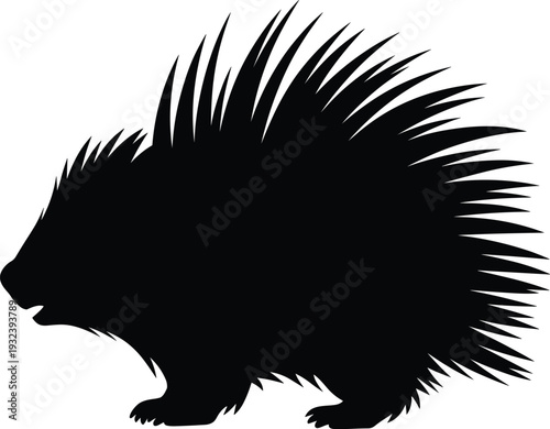 Black silhouette of a porcupine with sharp quills standing in side view isolated on white background for wildlife and nature design