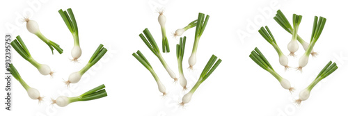 Quadro su tela Fresh Organic Spring Onions Collection Isolated on a Pure White Background